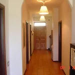 Casa Roberto Pool With Bar 5 Bedrooms 2 Bathrooms Great For Groups *